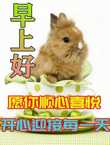 最漂亮早安问候语带字图片大全,早安问候语超漂亮图片带字