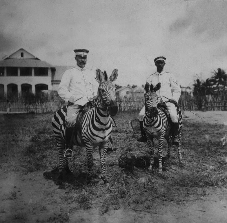 31张诡异生物照片,31张罕见的海洋生物照片