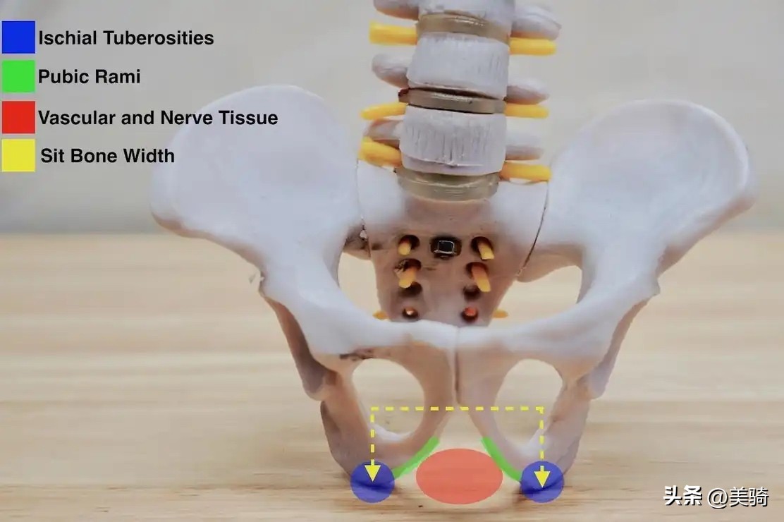 女士公路车碳纤维坐垫,s型公路车坐垫