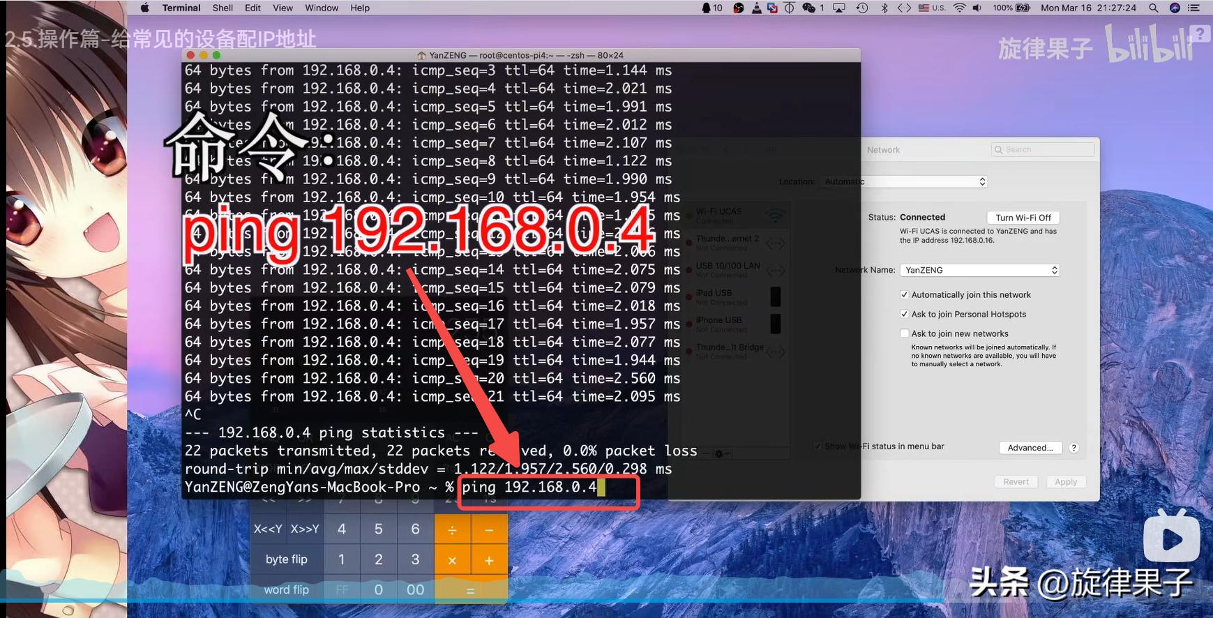ip地址分配操作,mac地址绑定解决ip冲突