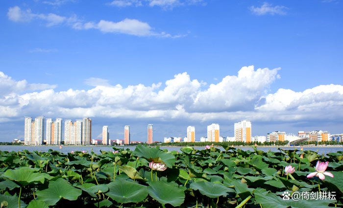 黑龙江省齐齐哈尔对比大庆市,齐齐哈尔跟大庆城建谁更好