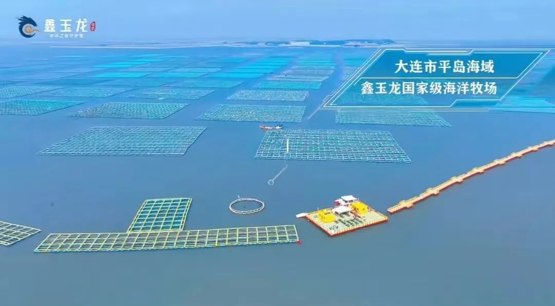 大连海参今后发展,大连海参产量全国占比多少