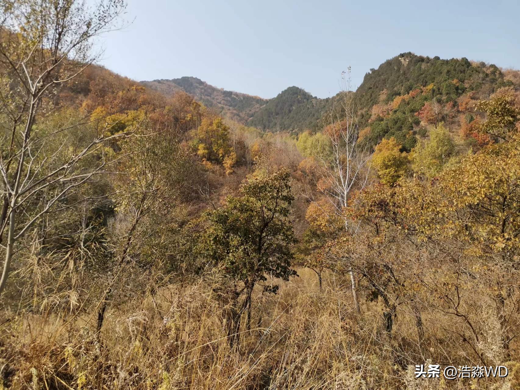 你看怀柔山峦尽叠翠,我说沟门河口故事多