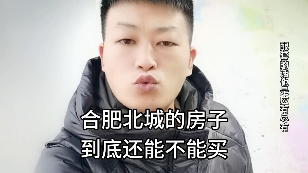 合肥北城房子能卖掉吗,合肥北城的房子值不值得买最新