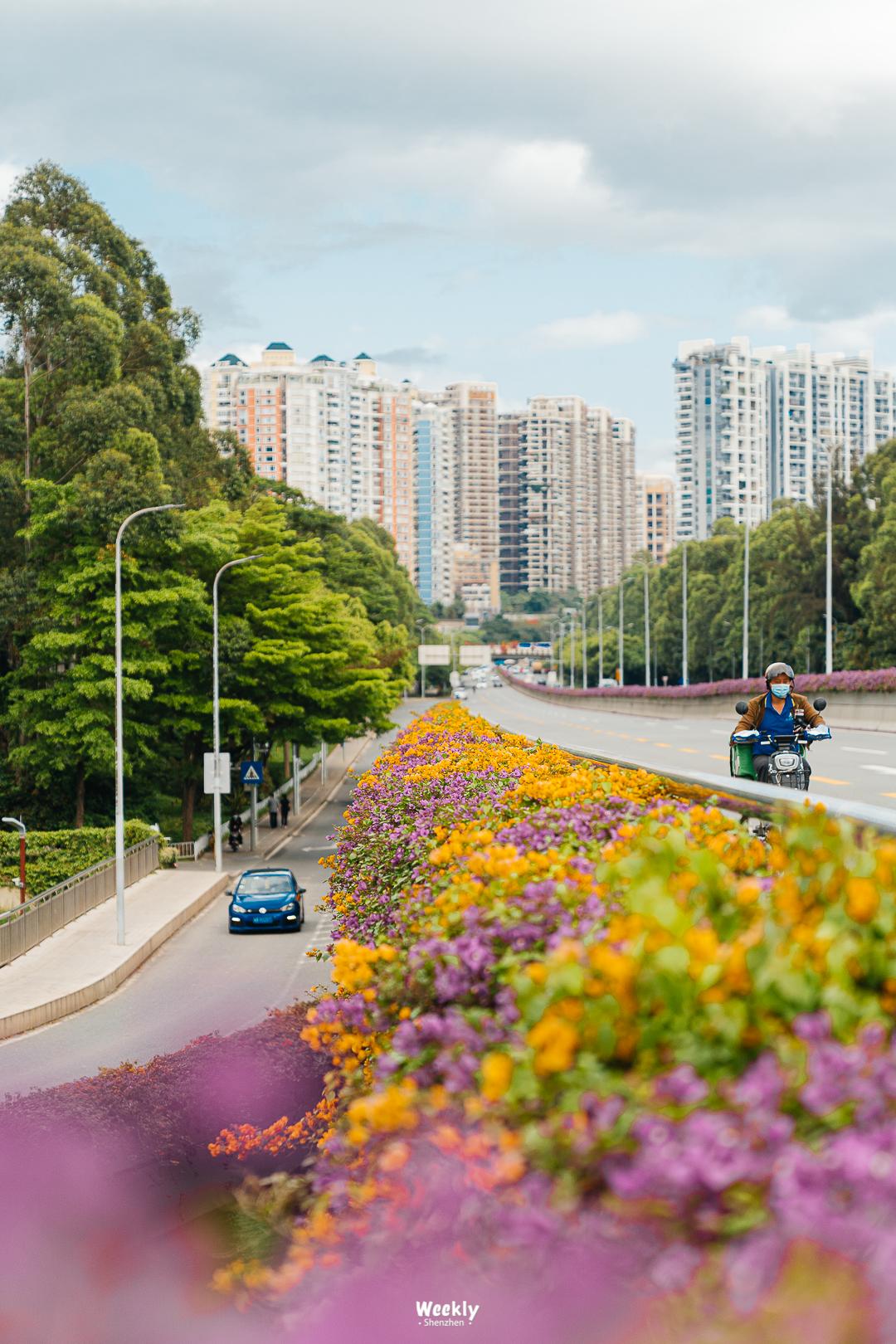 冰雪世界深圳哪来的雪,全球最大室内雪世界冰雪中心