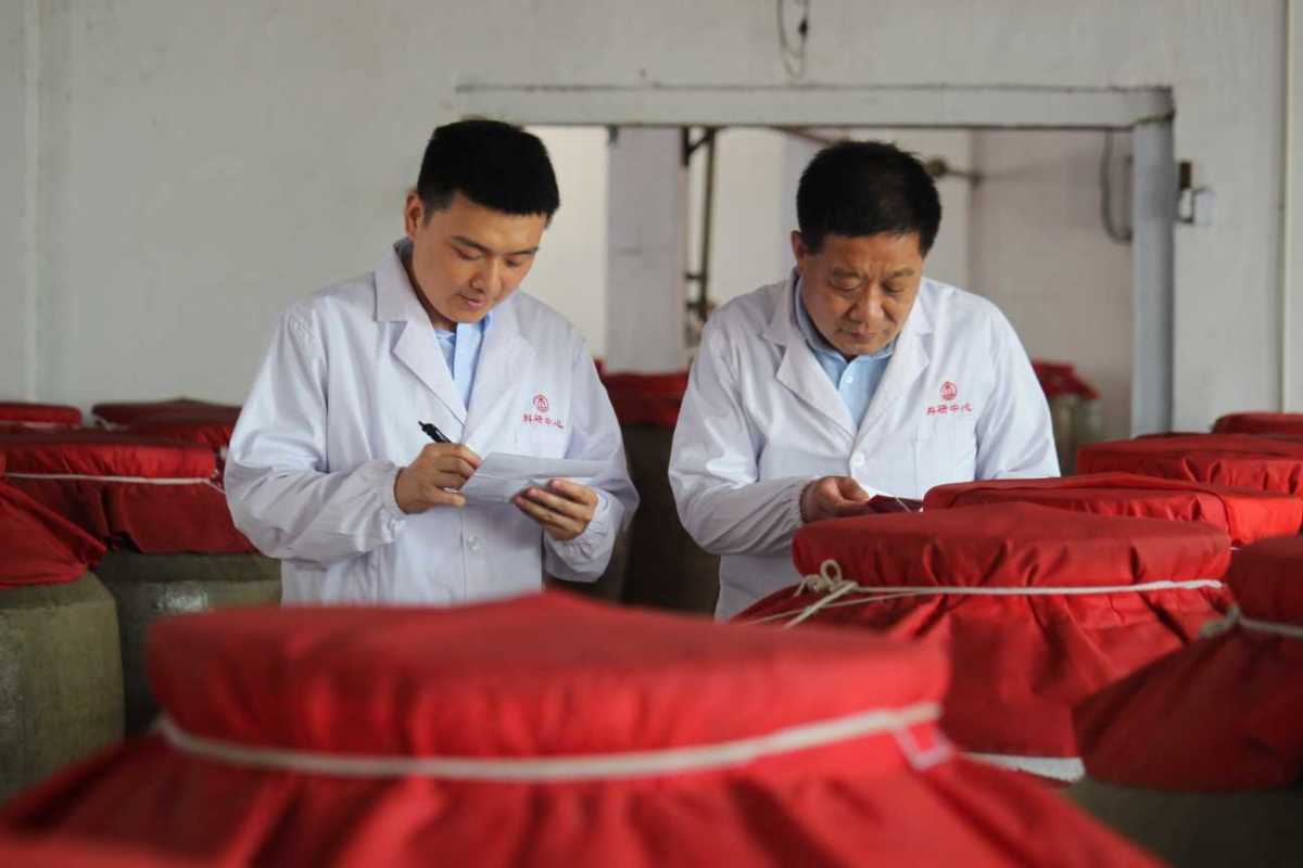 非凡十年的科技成就视频,非凡十年河南周口