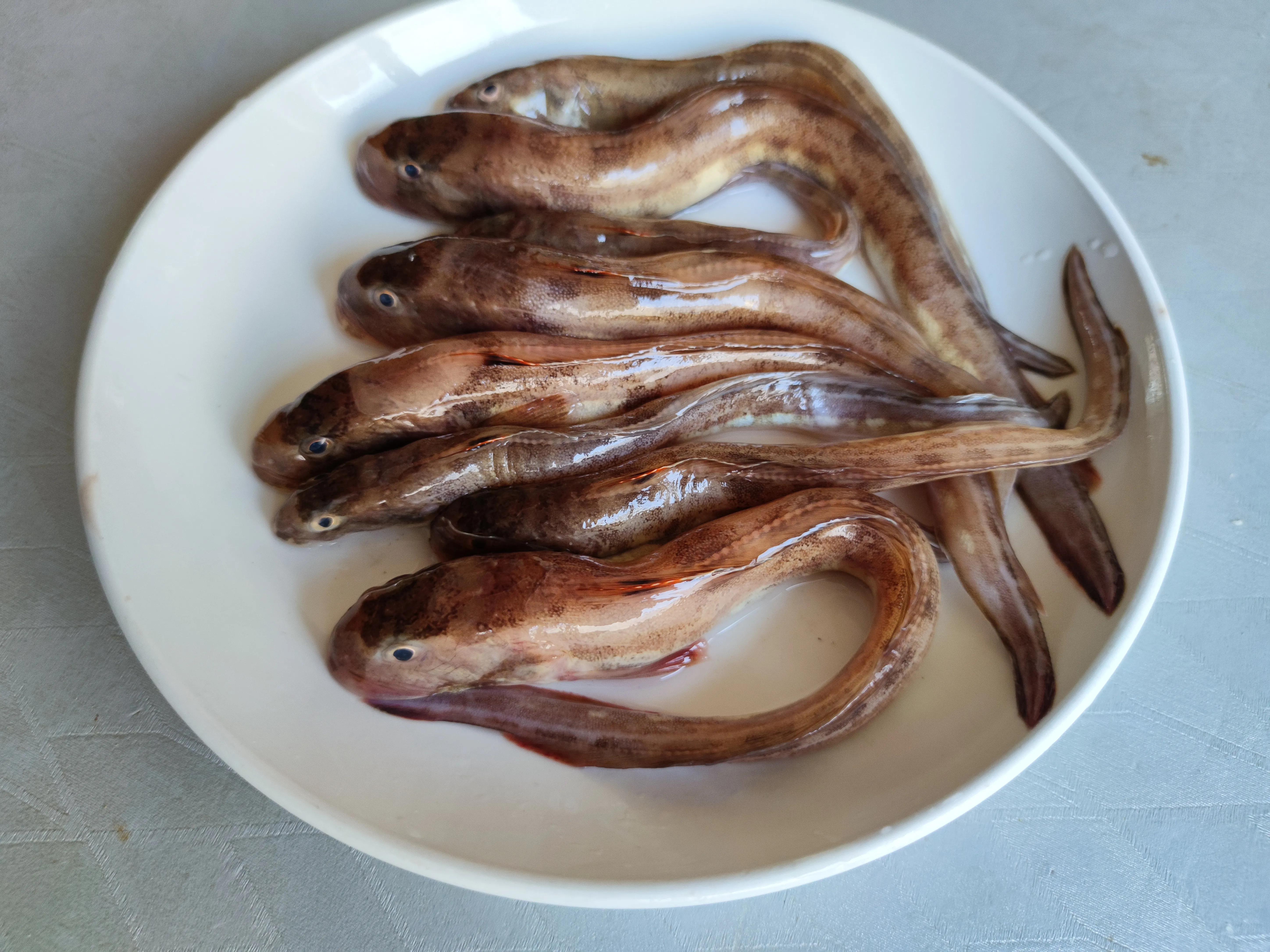 海鱼怎么炖好喝,海鱼怎么炖最好吃