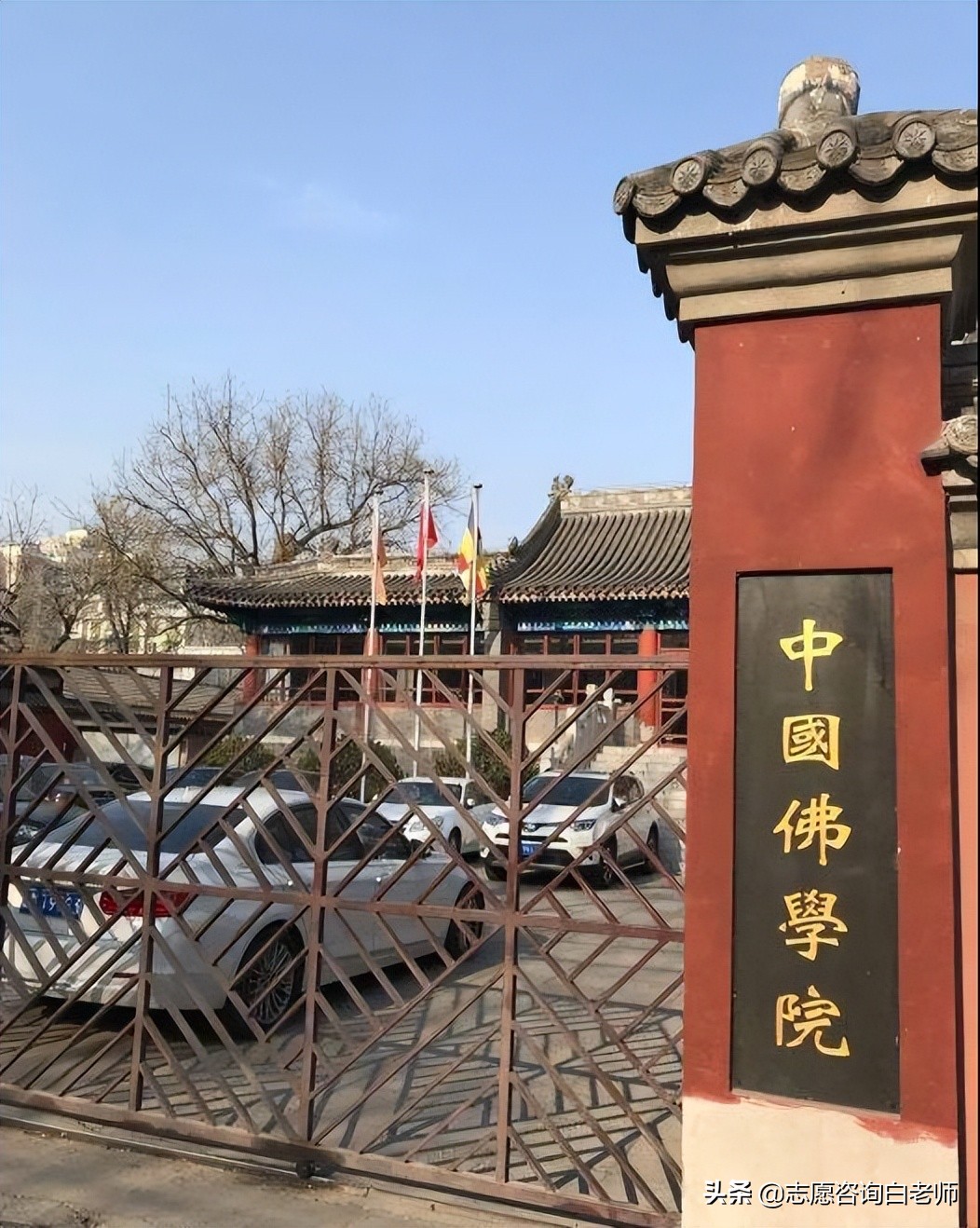不想上学院怎么办,不想上大学有什么学校可以上