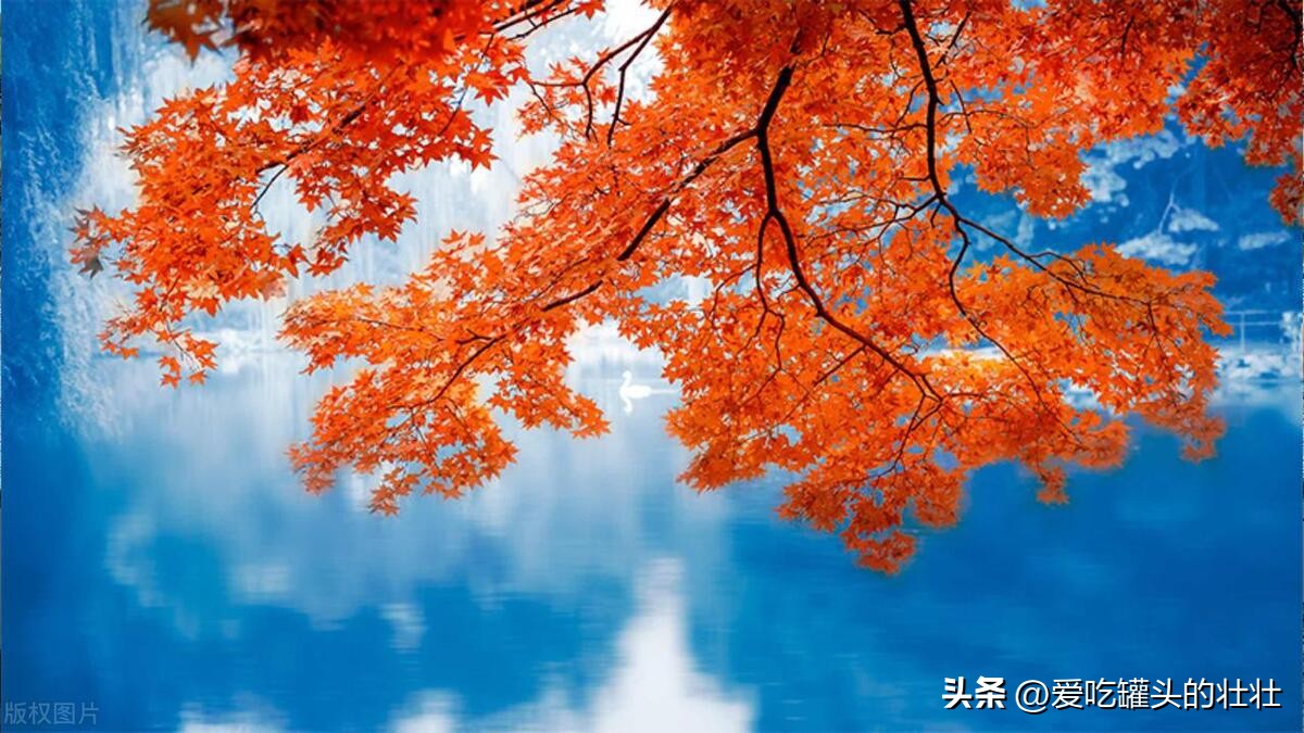 朋友圈很喜欢发动态是什么心理,为什么有成就的人不喜欢发朋友圈