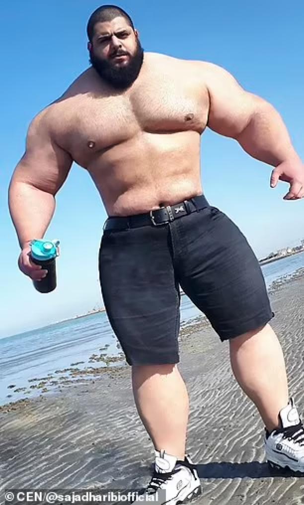 伊朗绿巨人mma视频,伊朗绿巨人真实身材