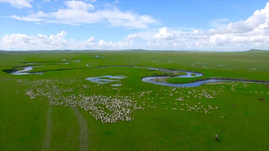 全区首笔！好生态能“变现”空气也可以抵押*款贷**