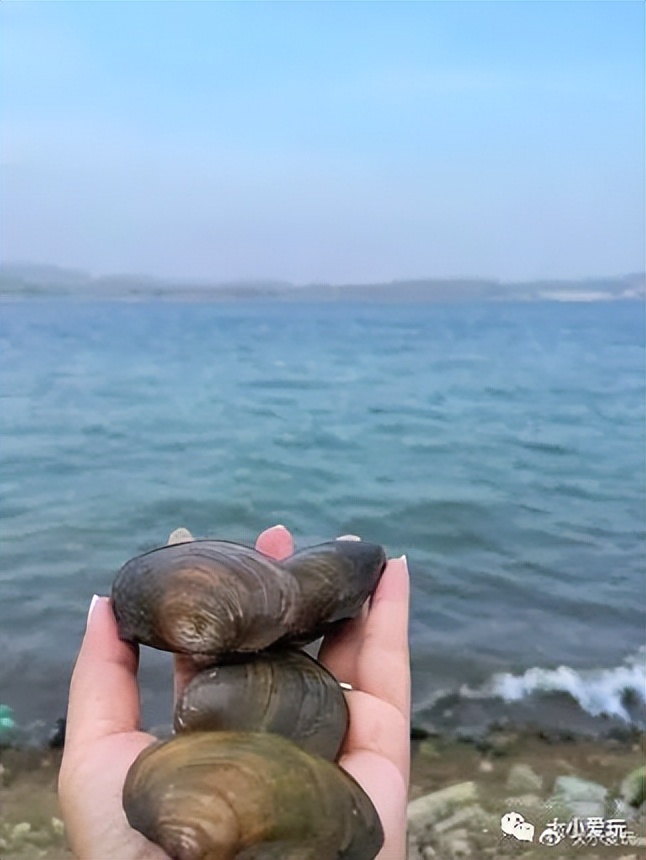 北京周边也有这么多超好逛的小镇、古镇、小山村，门票全免费！