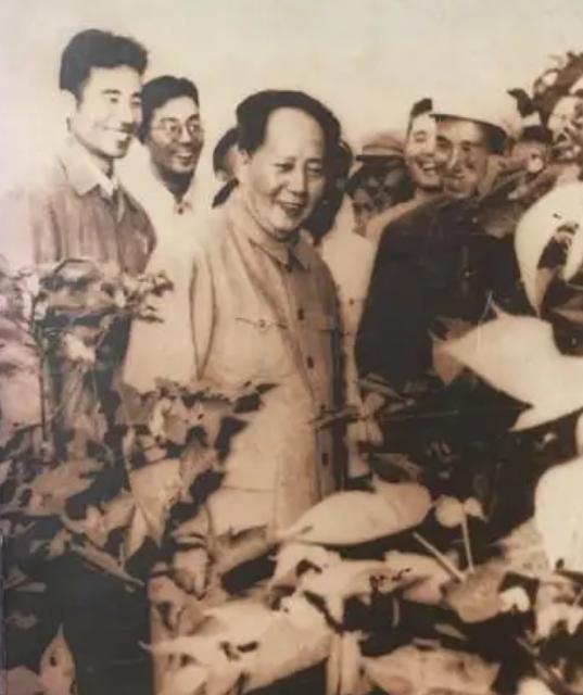 1952年毛主席视察山东，得知黄祖炎墓地所在，主席：我要去看看他