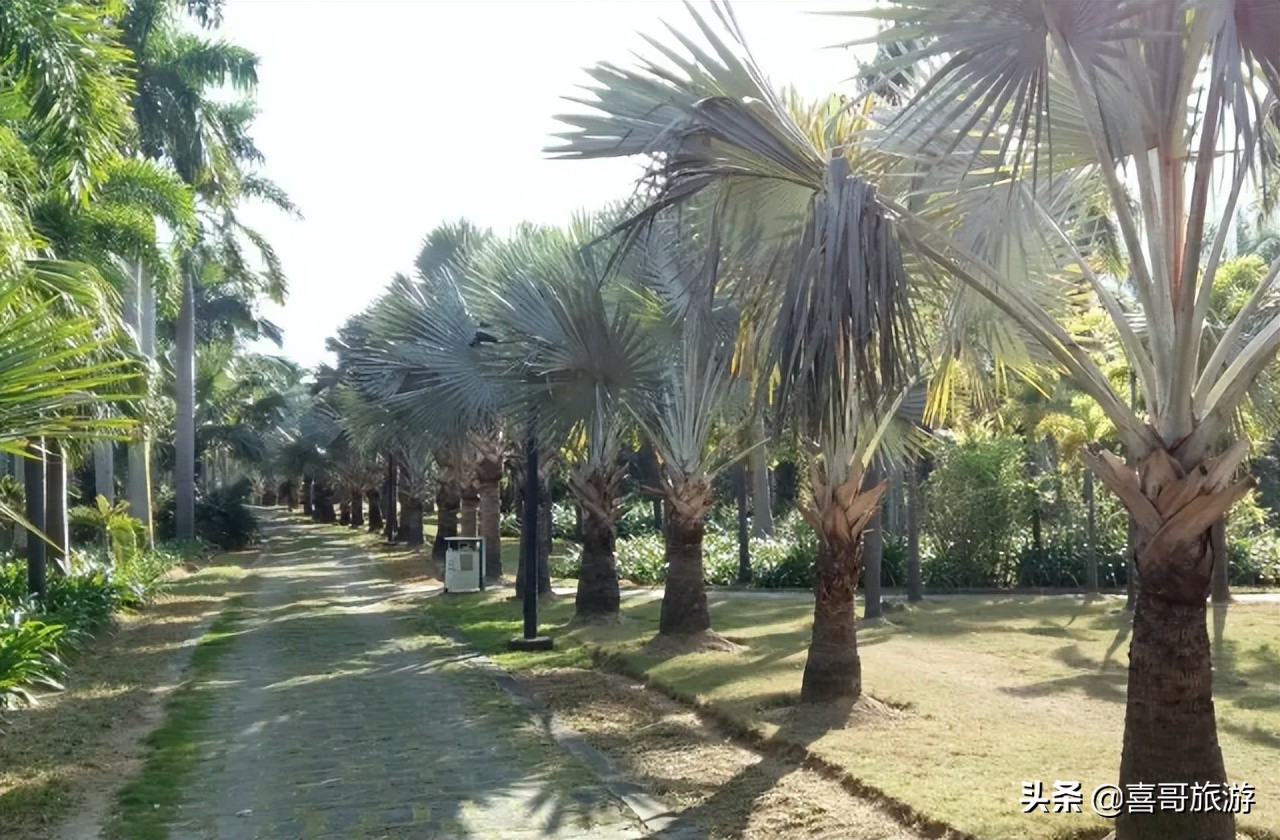 湛江市赤坎区旅游攻略,广东湛江赤坎区有哪些景点