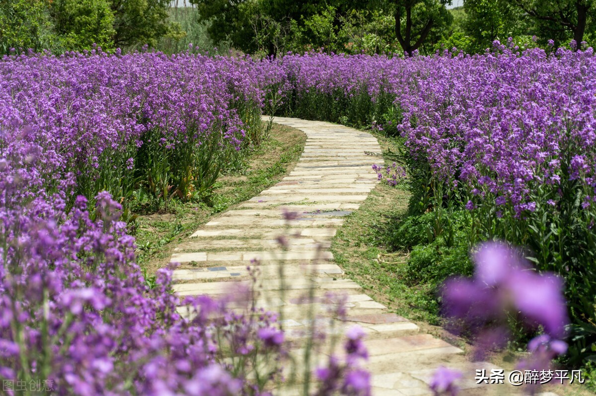 沙家浜风景区（江苏常熟市5A）