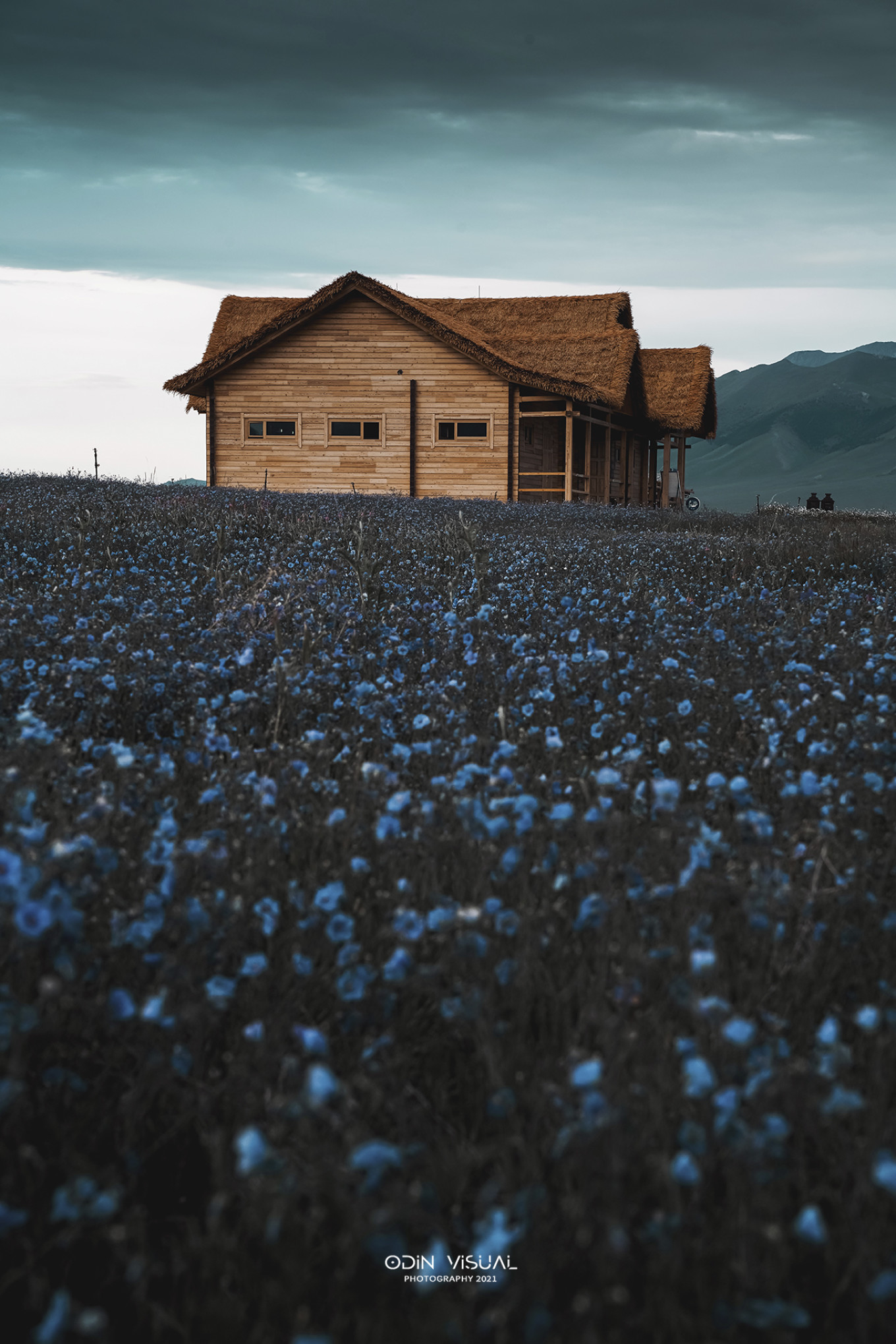 新疆伊犁之美,走了一圈才发现世界万物远不及你