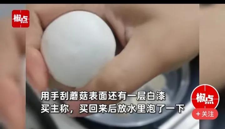 细思极恐蓝色绿色,细思极恐蘑菇