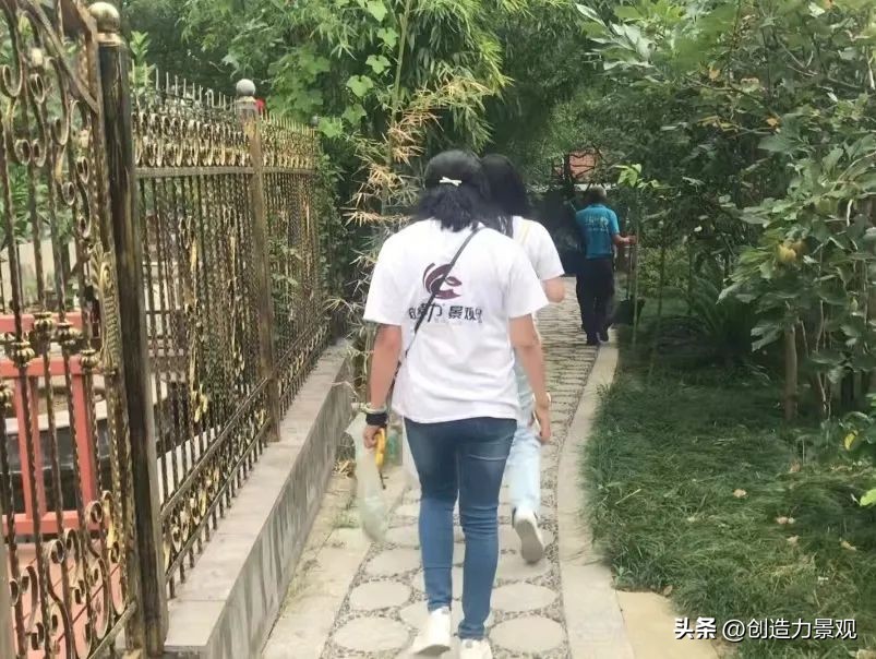 周末回访老客户的文案,回访老客户的主题