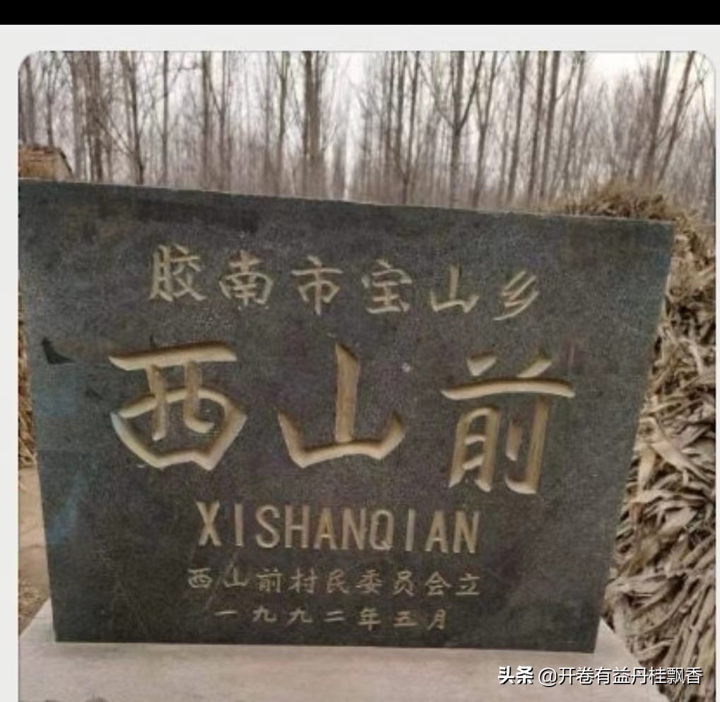 我思我母山高水长