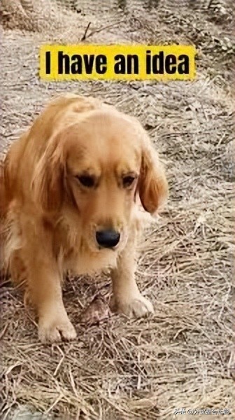 抖音话题破100亿的kpop,话题破千亿