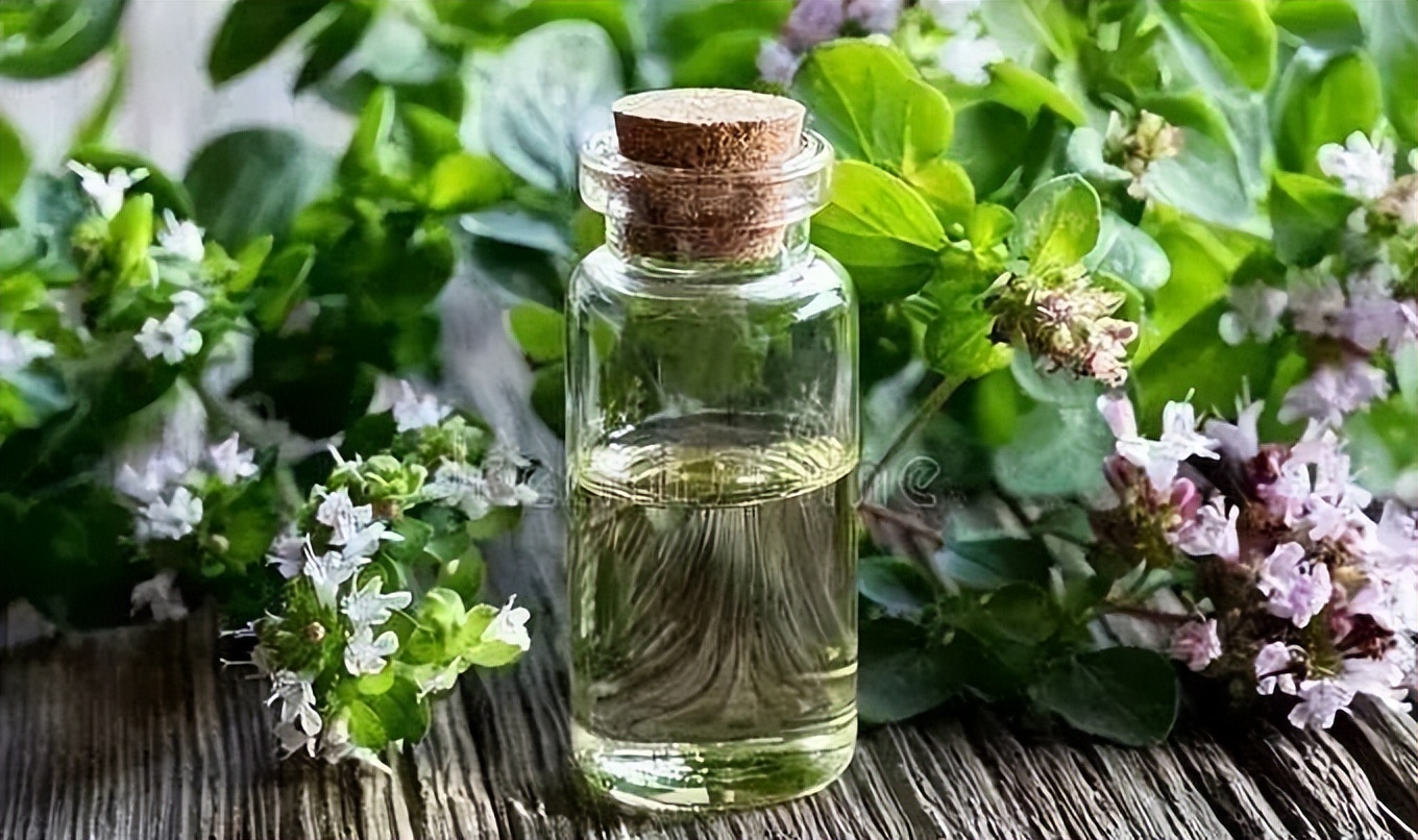 香芹酚与灰霉病,柑橘灰霉病用香芹酚