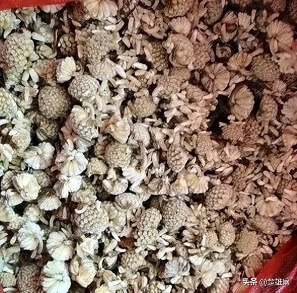 医院门口卖神药,卫生院卖高价药