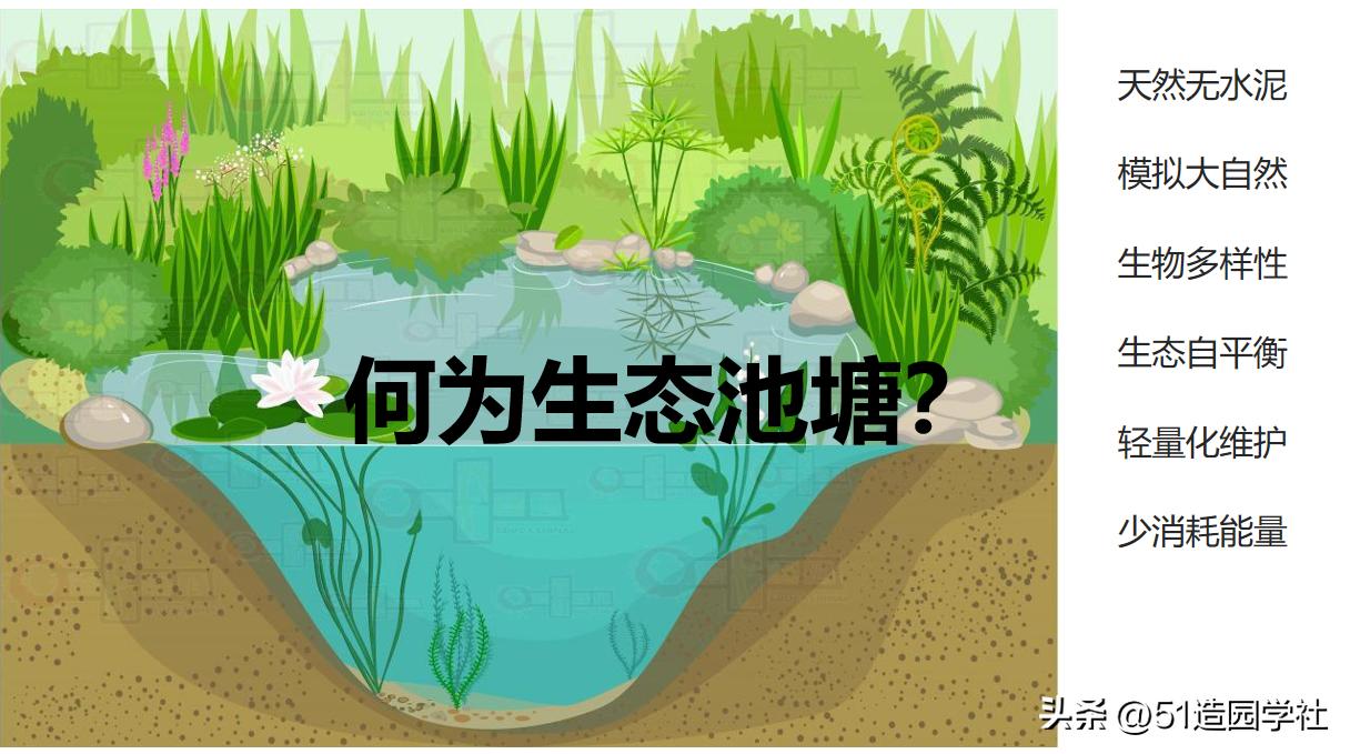 农村门前挖一个最简单的生态鱼池,家庭院子挖个小鱼塘怎么蓄水