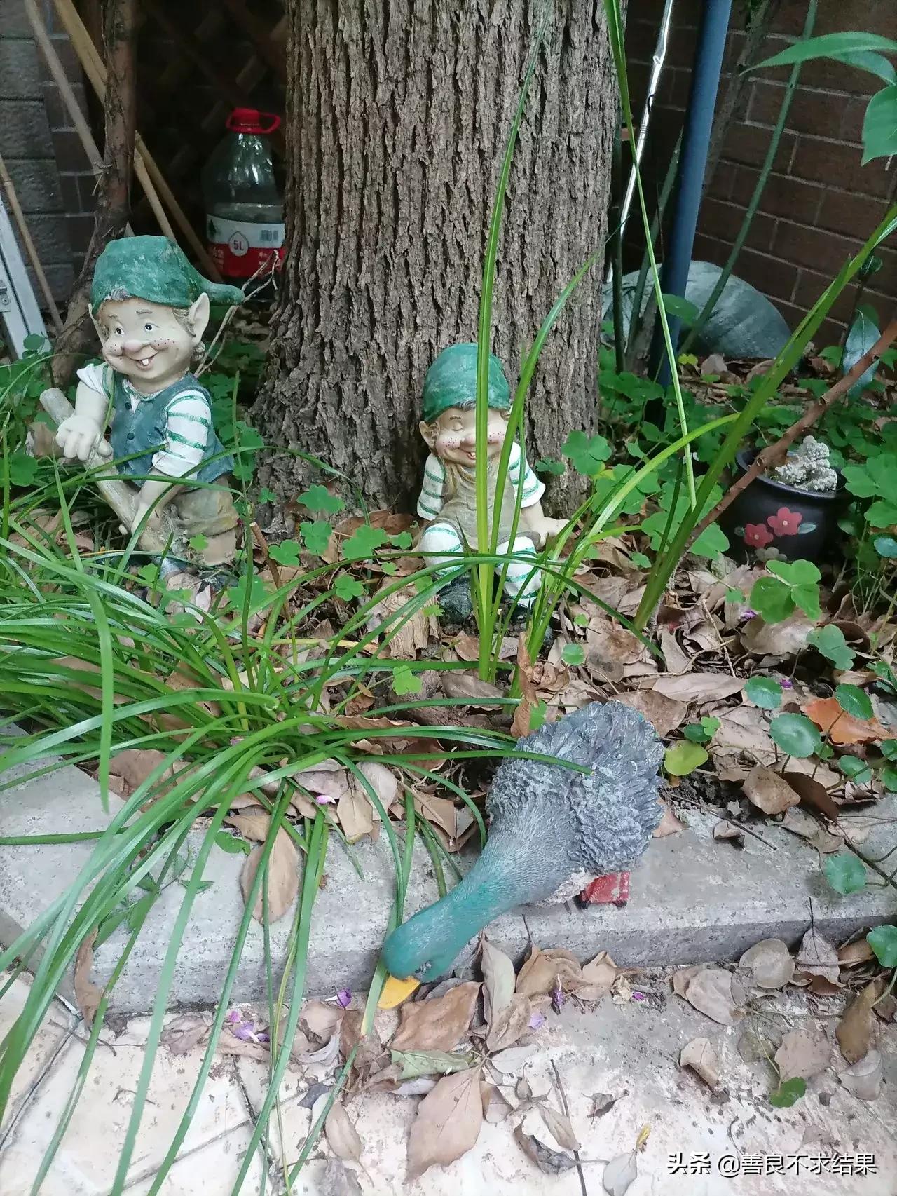 古朴的“农家小院”,总是备受人们喜爱