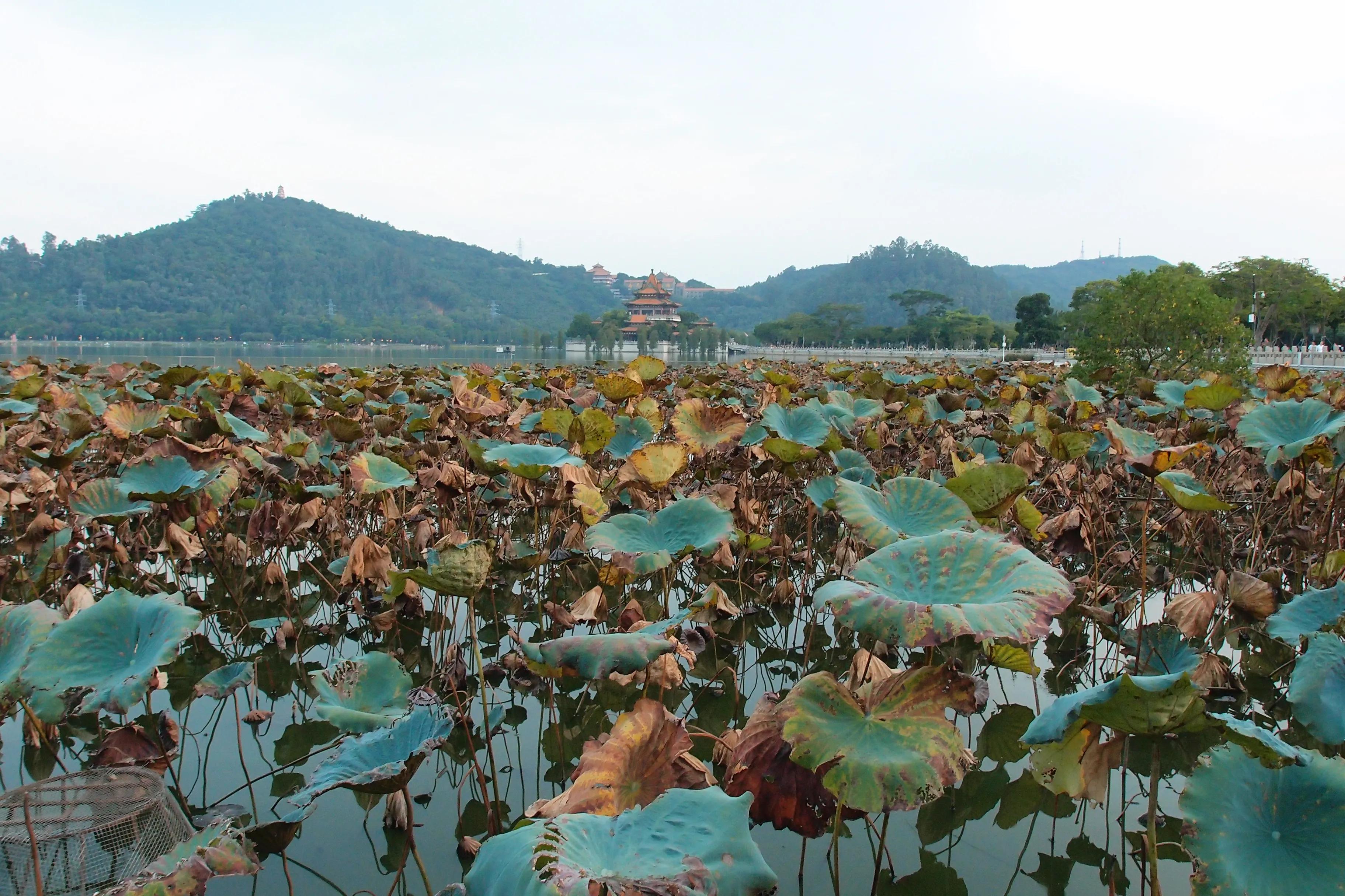 世界最大牌坊顺德,亚洲最大牌坊公园