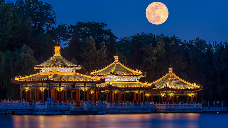 崔老道传奇完整版,崔老道传奇有几部