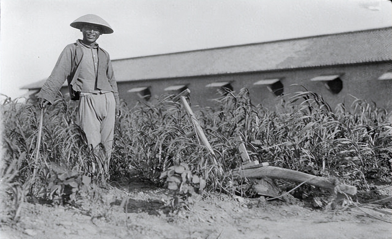 中国农民抓到日本士兵会怎样处置,抗日战争时农民被日本人抓住