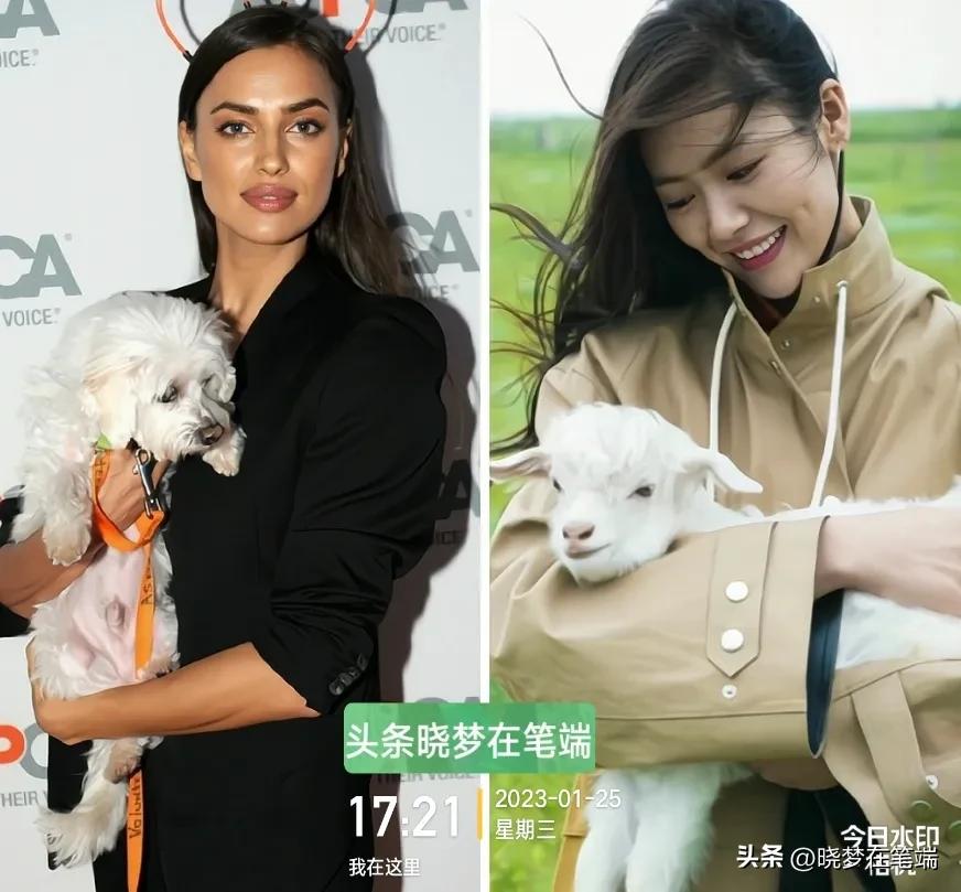 C罗说超模刘雯很美，他喜欢这种类型美女，刘雯和伊莲娜都是超模