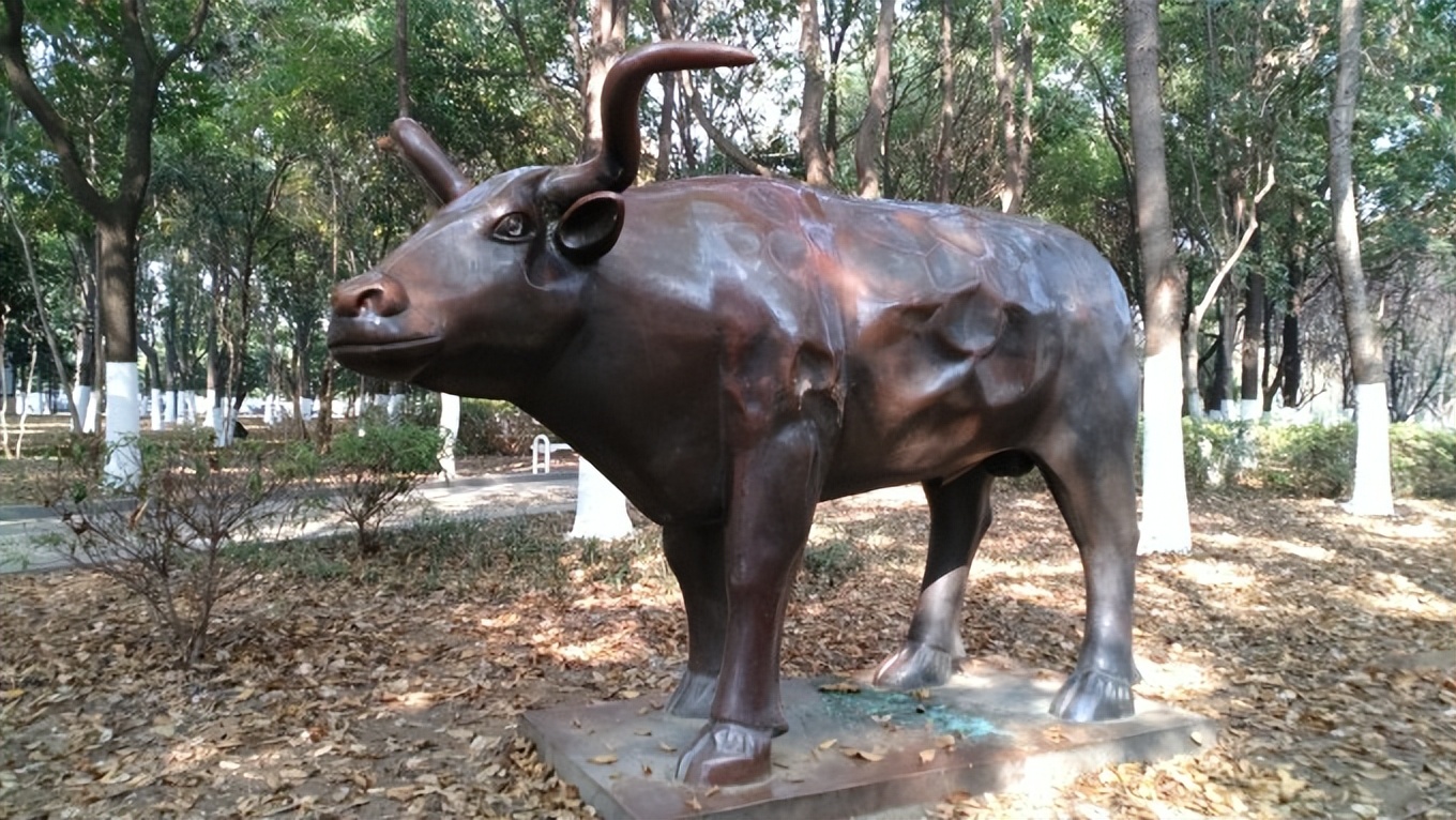 武汉友好城市图片,武汉市友好合作城市列表