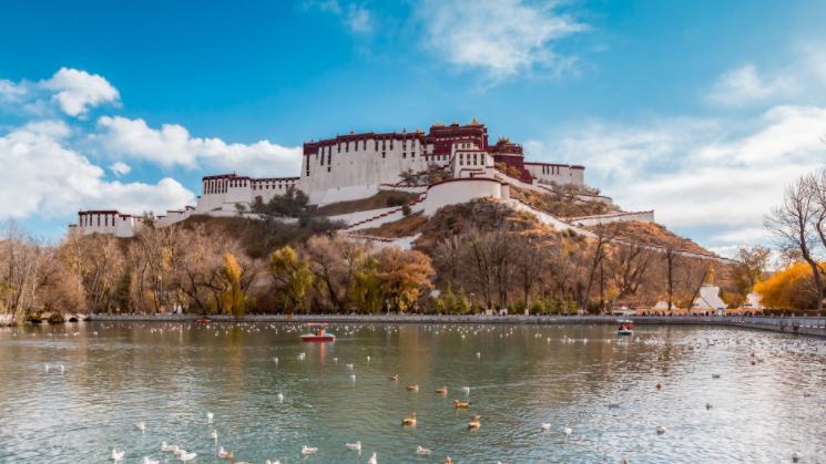 西藏拉萨旅游攻略美食攻略,去西藏打卡攻略