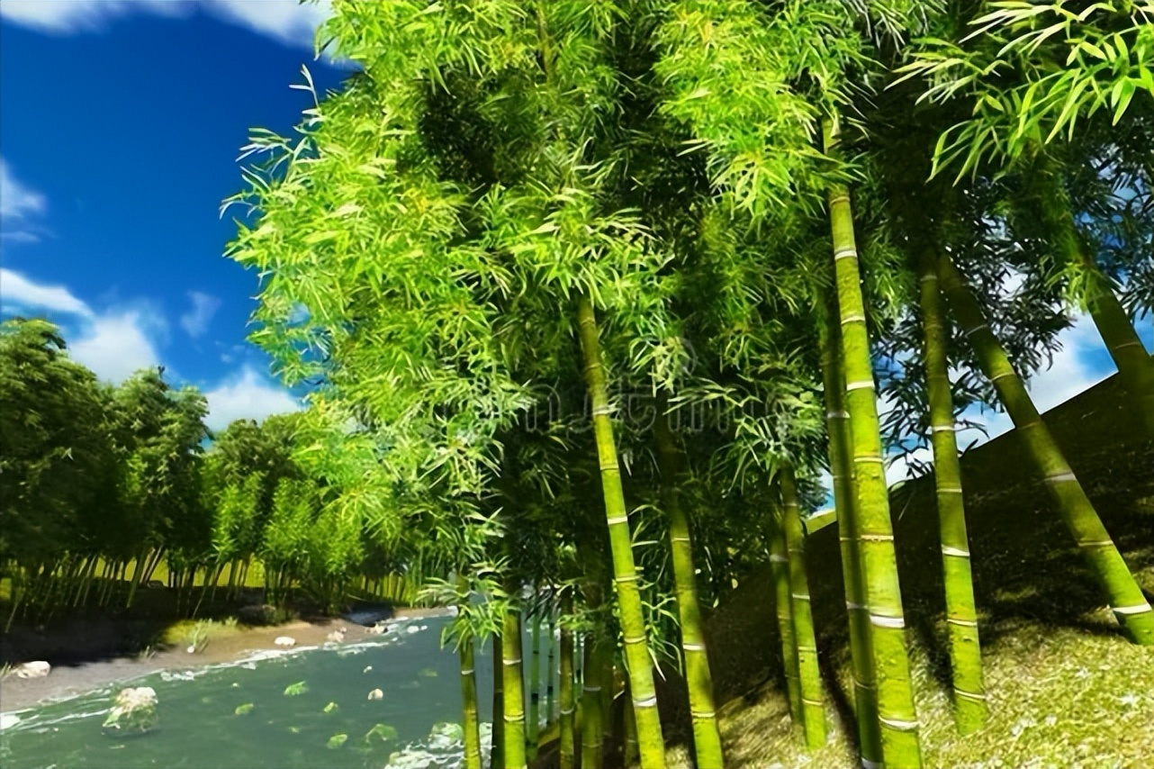 坟前三不种什么意思,坟前三不种床前四不留指的是什么