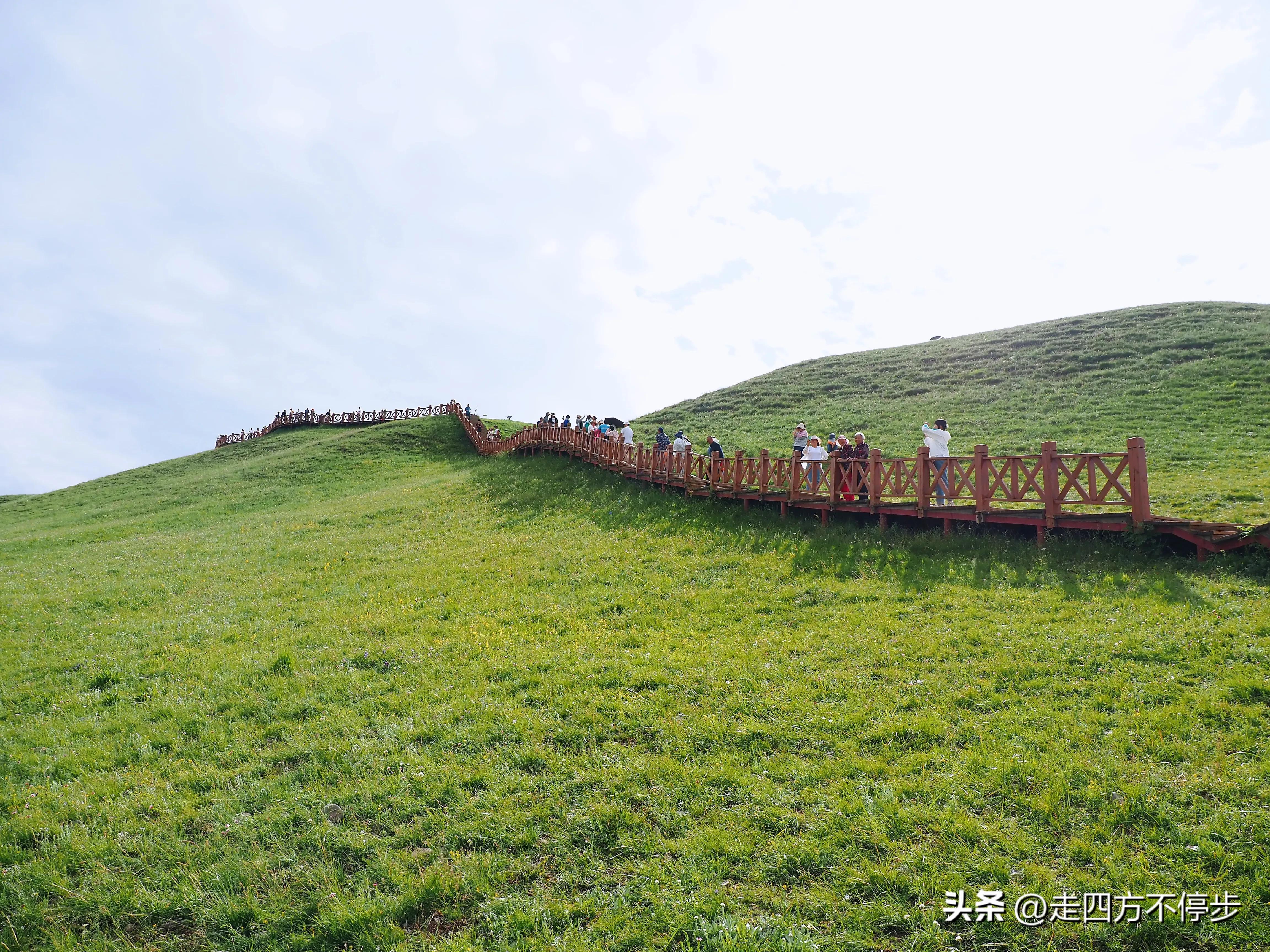 甘南自驾游桑科草原下一站,甘南桑科草原高清精美视频