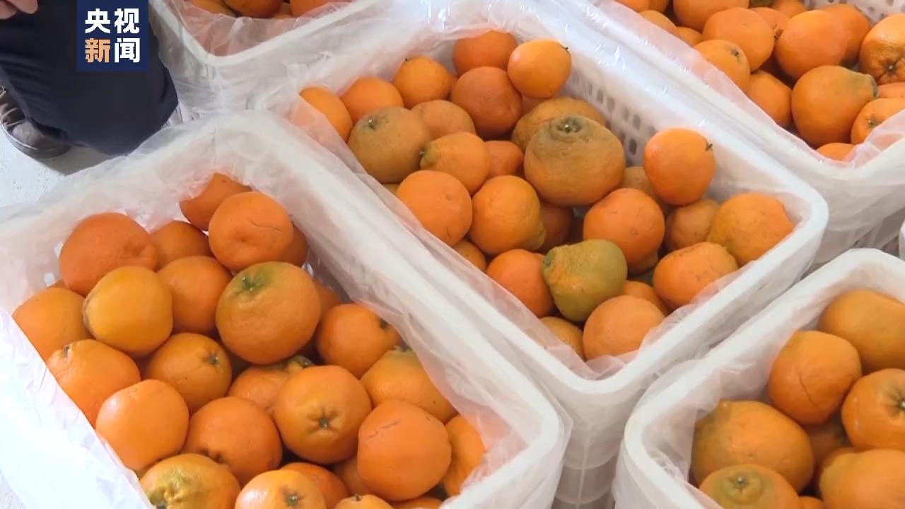 万象“耕”新丨现代化生产营销“土特产”变“抢手货”