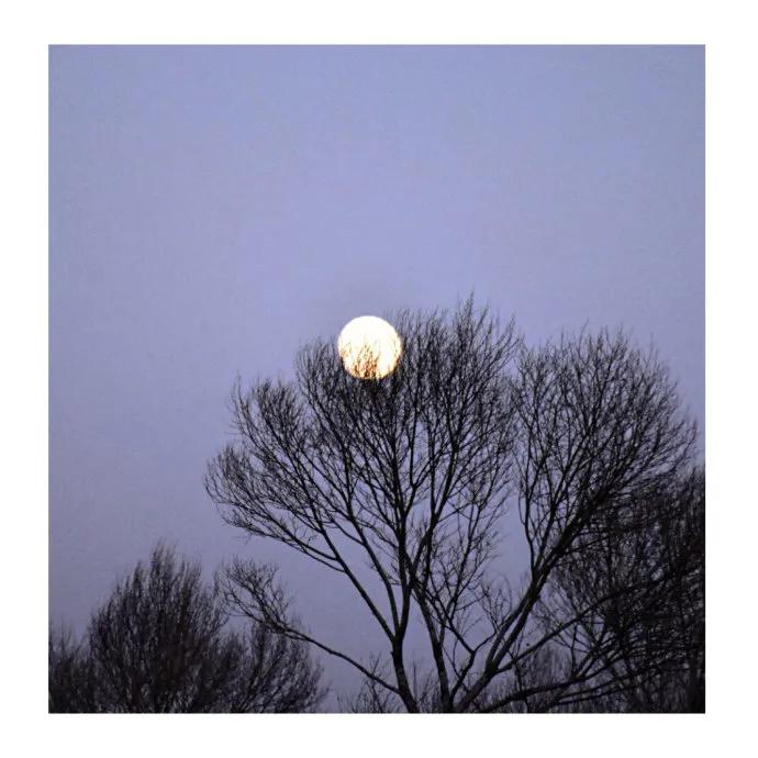 陈风月诗经原文,诗经陈风月出全文注音