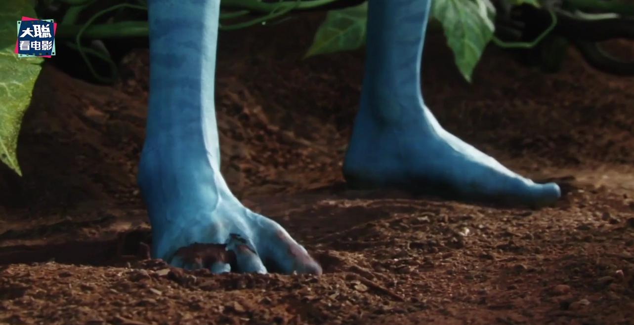 阿凡达细节讲解,阿凡达2全过程讲解