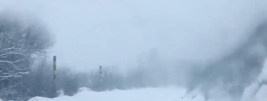 邮政发录取通知书是什么快递,寄录取通知书为什么不用顺丰快递