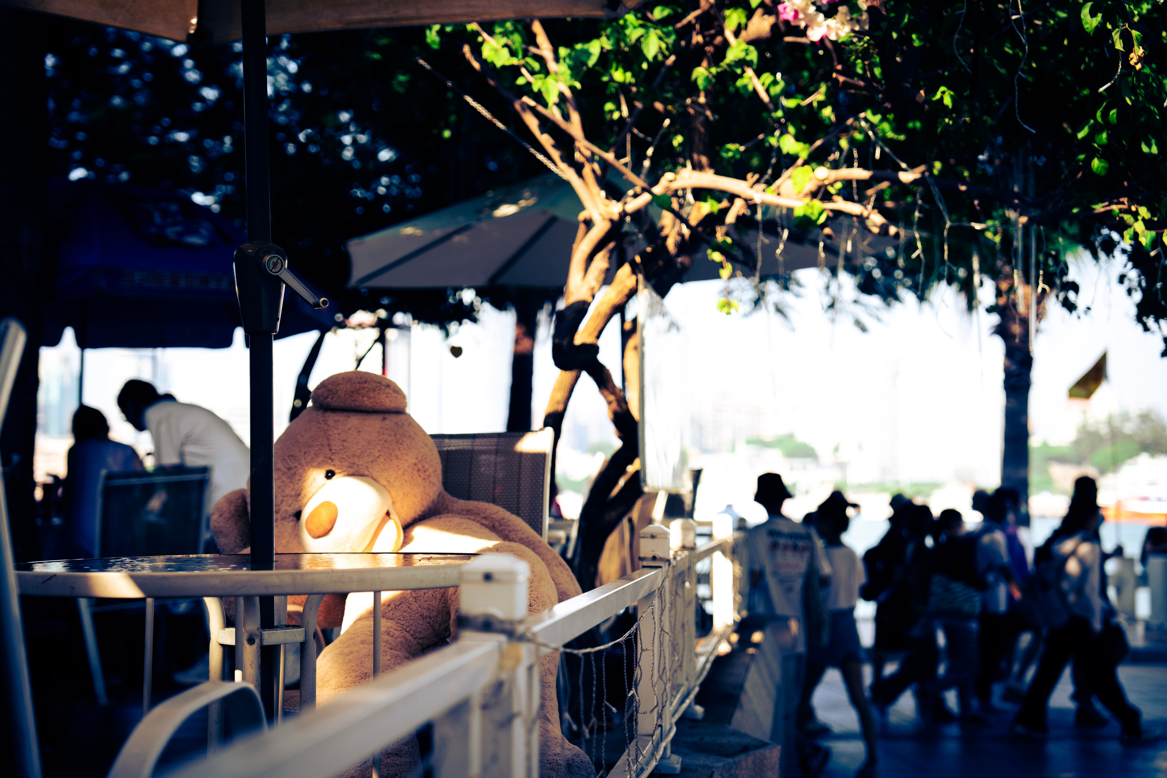 厦门旅游指南报价表最新版查询,漫游厦门旅游攻略