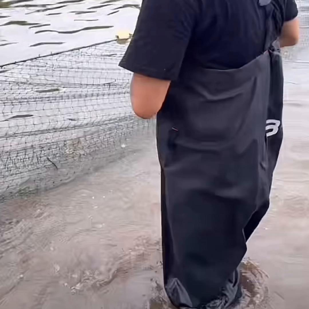 一亩鱼塘能产5000斤鱼,6亩鱼塘一年出10万斤鱼