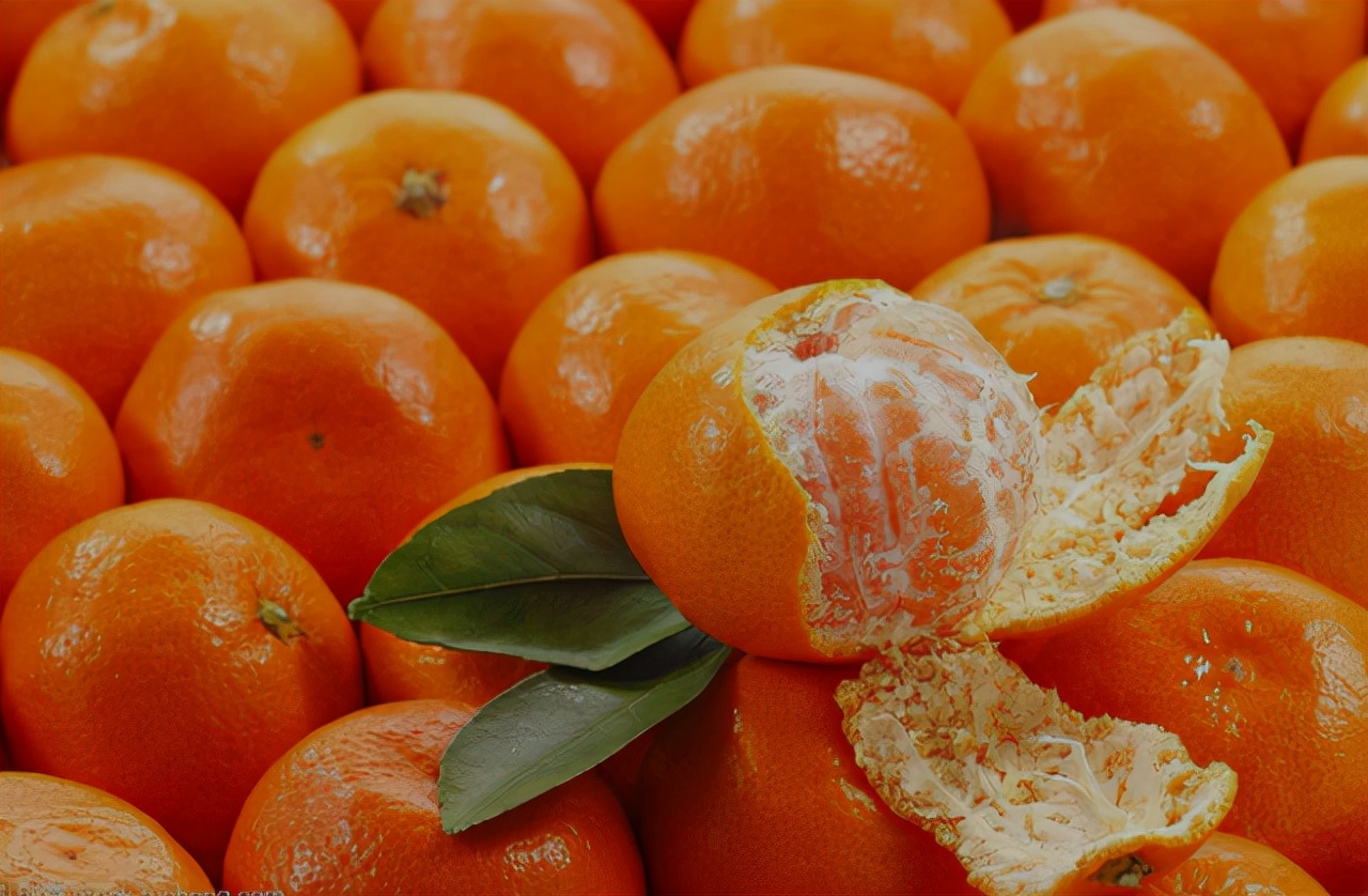 提醒这3种食物尽量别吃,提醒大人吃过的东西不能给小孩吃