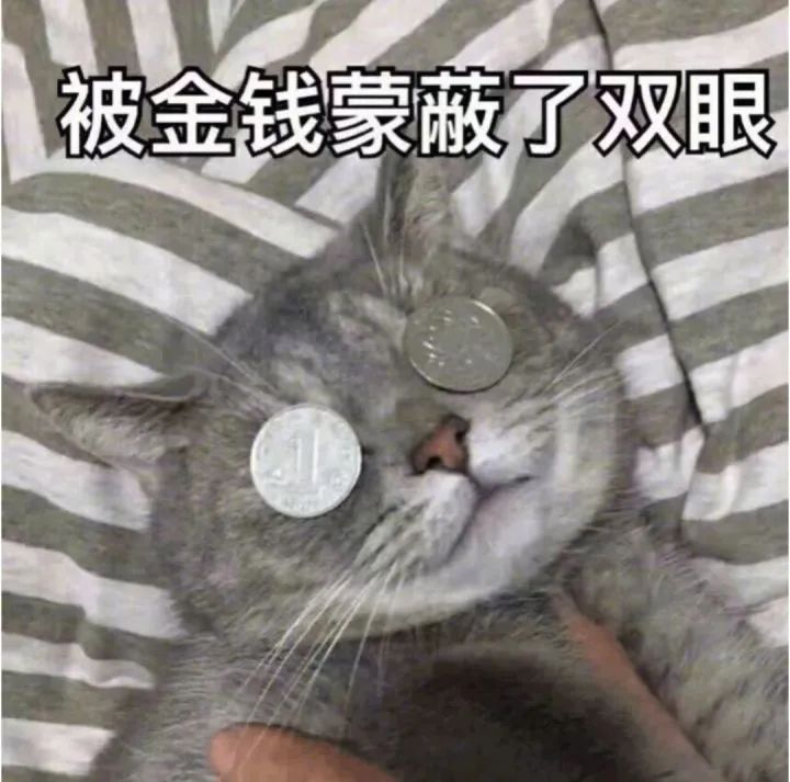 这些315曝光过的坑你踩过哪些,315曝光视频回放