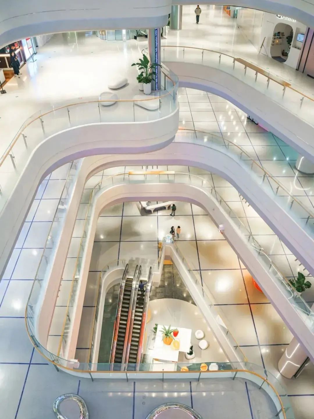 魔都宠物天地,魔都周边宠物友好景区