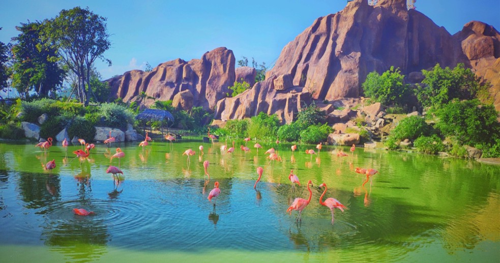 越南生活现状纪录片,越南生活真实现状街拍