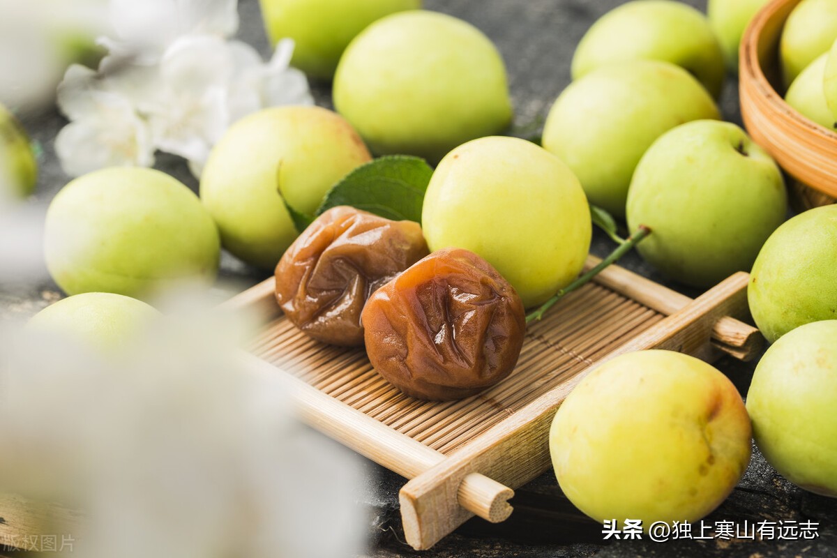 吃散结的中药忌口食物有哪些,梅花的食疗