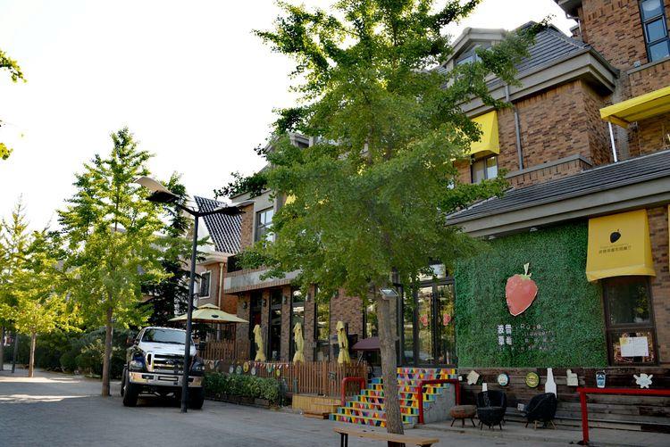 大连旅游攻略3天2夜住宿,大连旅游攻略视频