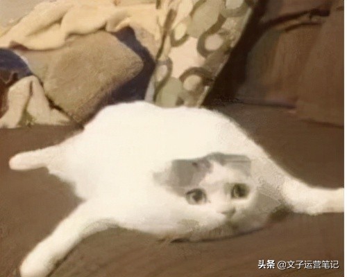 自媒体新手小白入门快速注册账号,自媒体新手怎么入门选什么平台