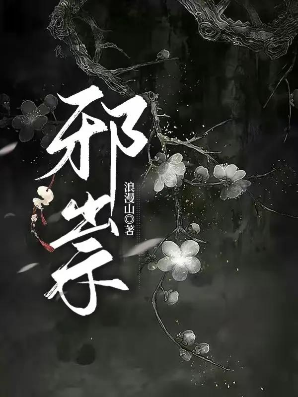 邪祟讲的什么小说,邪祟小说简介